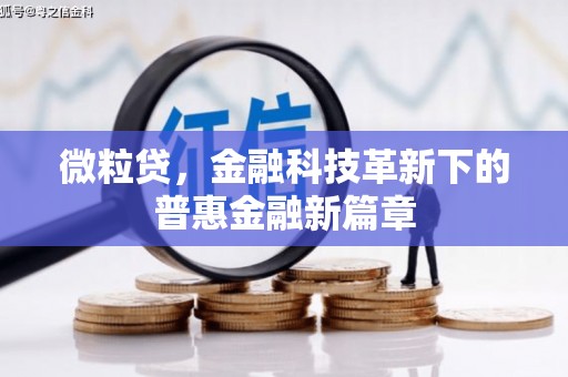 大名微粒贷，金融科技革新下的普惠金融新篇章
