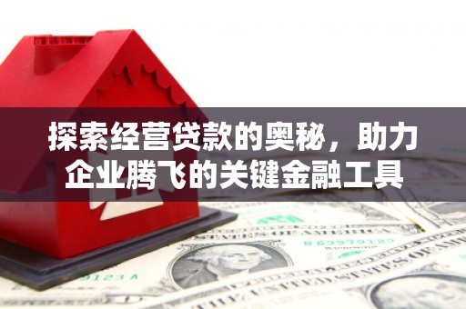 大名探索经营贷款的奥秘，助力企业腾飞的关键金融工具