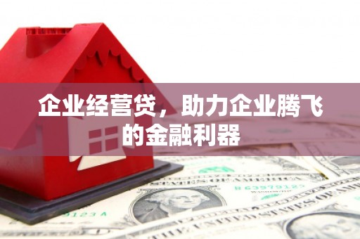 大名企业经营贷，助力企业腾飞的金融利器