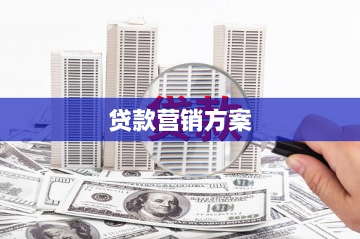 大名贷款营销方案