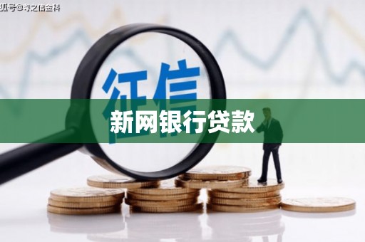 大名新网银行贷款