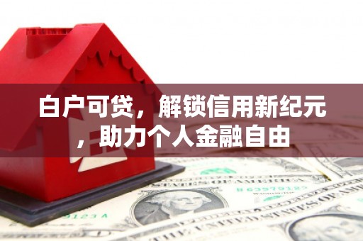 大名白户可贷，解锁信用新纪元，助力个人金融自由