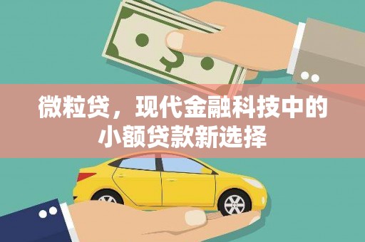 大名微粒贷，现代金融科技中的小额贷款新选择