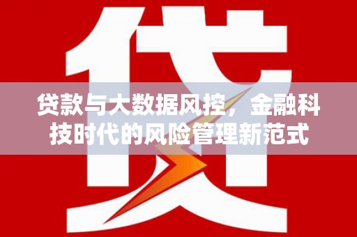 大名贷款与大数据风控，金融科技时代的风险管理新范式