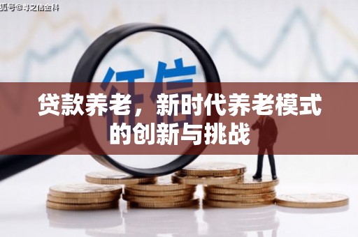 大名贷款养老，新时代养老模式的创新与挑战