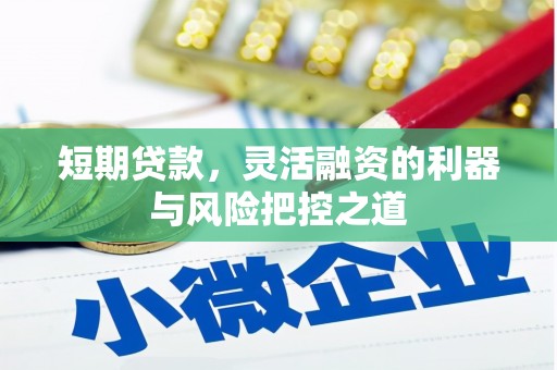 大名短期贷款，灵活融资的利器与风险把控之道