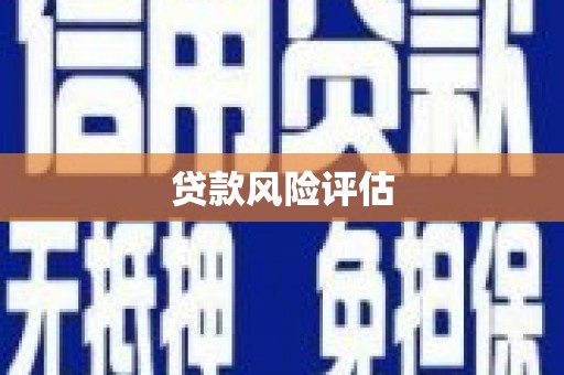 大名贷款风险评估