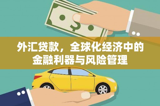 大名外汇贷款，全球化经济中的金融利器与风险管理