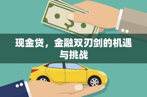 大名现金贷，金融双刃剑的机遇与挑战