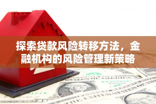 大名探索贷款风险转移方法，金融机构的风险管理新策略