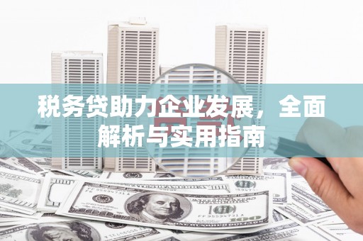 大名税务贷助力企业发展，全面解析与实用指南