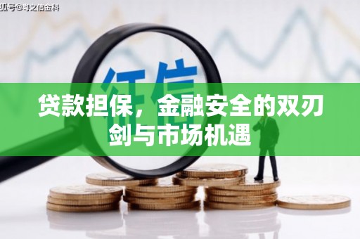 大名贷款担保，金融安全的双刃剑与市场机遇