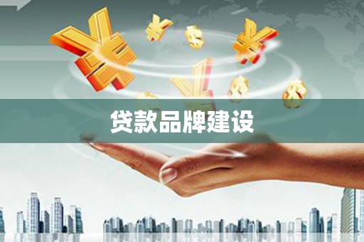 大名贷款品牌建设