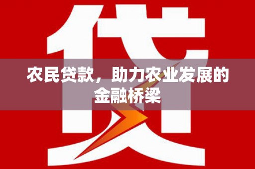 大名农民贷款，助力农业发展的金融桥梁