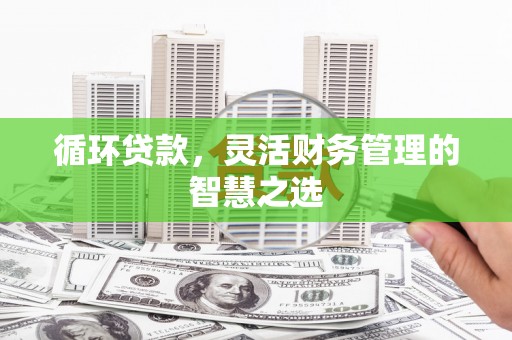 大名循环贷款，灵活财务管理的智慧之选