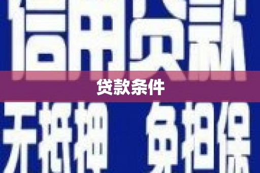 大名贷款条件