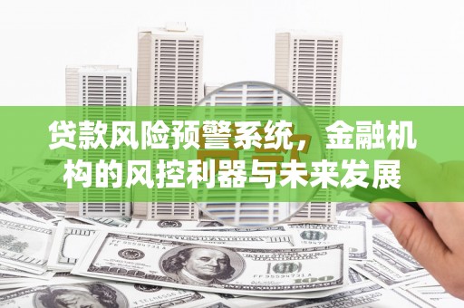 大名贷款风险预警系统，金融机构的风控利器与未来发展
