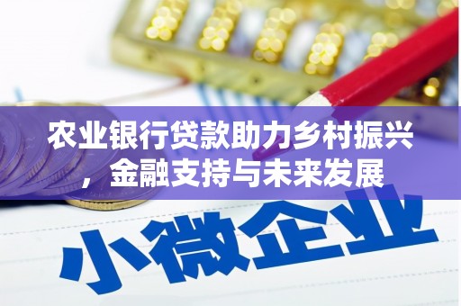 大名农业银行贷款助力乡村振兴，金融支持与未来发展