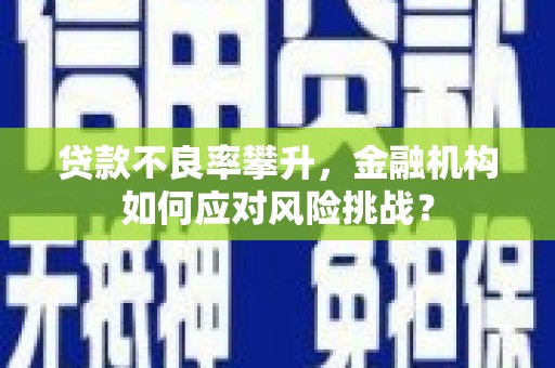大名贷款不良率攀升，金融机构如何应对风险挑战？