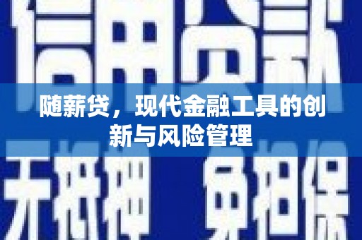 大名随薪贷，现代金融工具的创新与风险管理