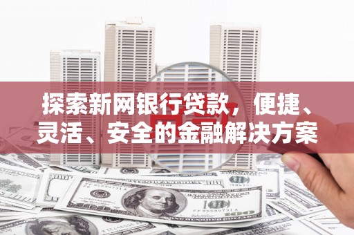 大名探索新网银行贷款，便捷、灵活、安全的金融解决方案