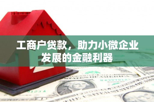 大名工商户贷款，助力小微企业发展的金融利器