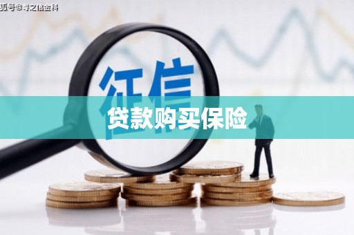大名贷款购买保险