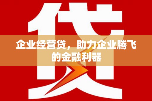 大名企业经营贷，助力企业腾飞的金融利器