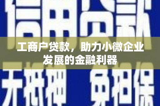 大名工商户贷款，助力小微企业发展的金融利器