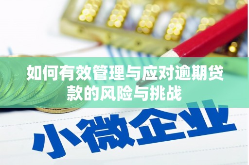 大名如何有效管理与应对逾期贷款的风险与挑战