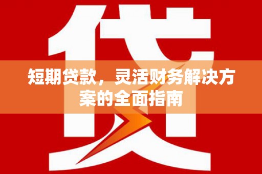 大名短期贷款，灵活财务解决方案的全面指南