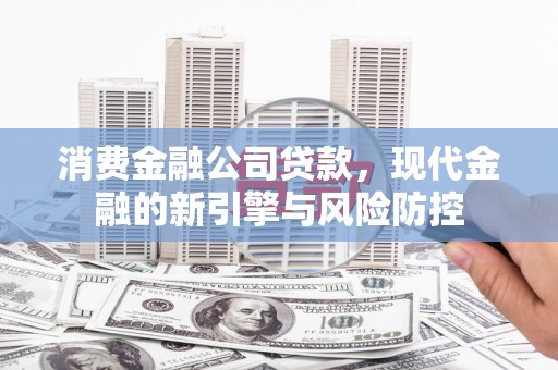 大名消费金融公司贷款，现代金融的新引擎与风险防控