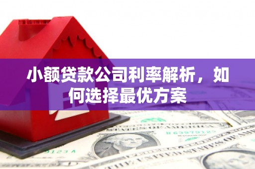 大名小额贷款公司利率解析，如何选择最优方案