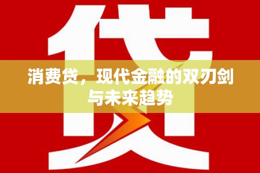 大名消费贷，现代金融的双刃剑与未来趋势