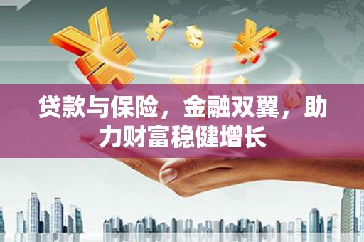 大名贷款与保险，金融双翼，助力财富稳健增长