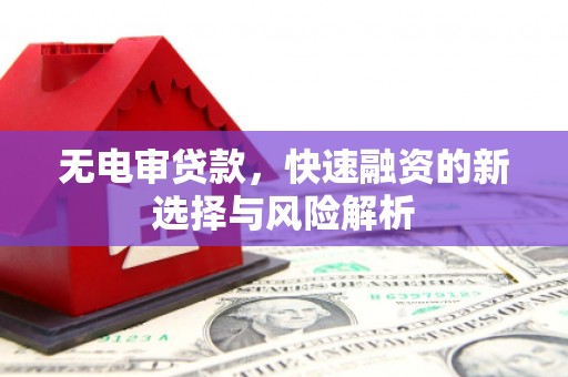 大名无电审贷款，快速融资的新选择与风险解析