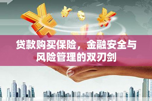 大名贷款购买保险，金融安全与风险管理的双刃剑