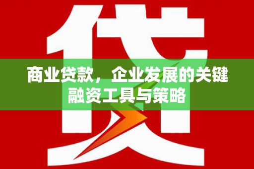 大名商业贷款，企业发展的关键融资工具与策略