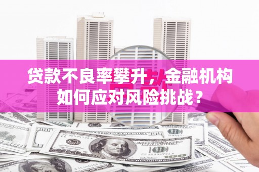 大名贷款不良率攀升，金融机构如何应对风险挑战？