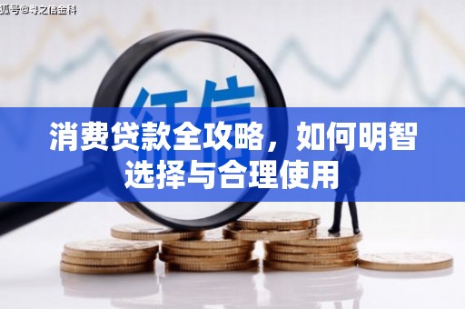 大名消费贷款全攻略，如何明智选择与合理使用