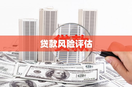 大名贷款风险评估