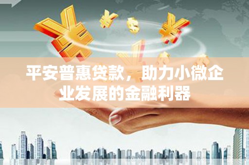 大名平安普惠贷款，助力小微企业发展的金融利器