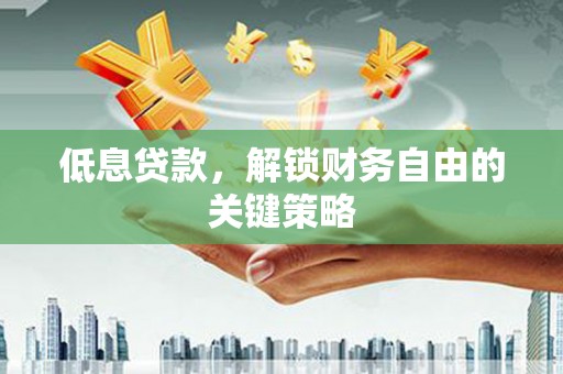 大名低息贷款，解锁财务自由的关键策略