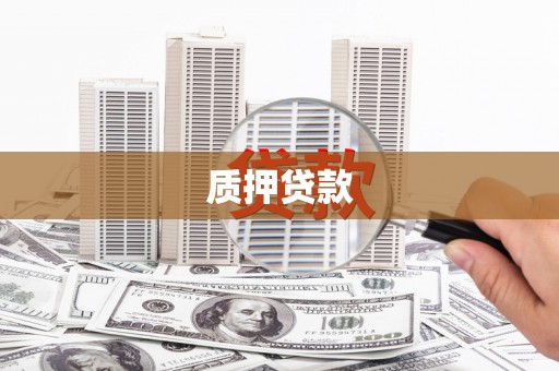 大名质押贷款