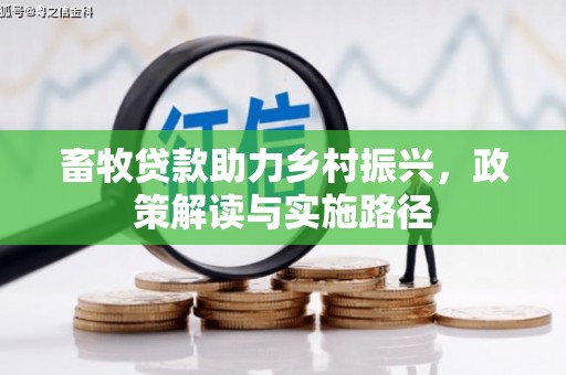 大名畜牧贷款助力乡村振兴，政策解读与实施路径