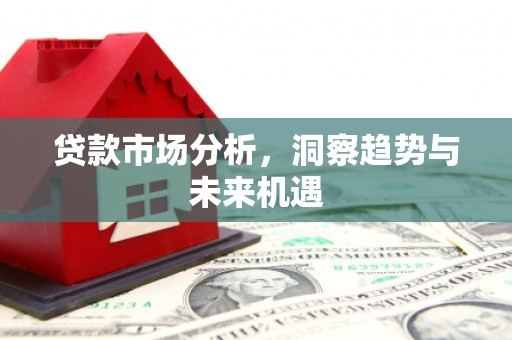 大名贷款市场分析，洞察趋势与未来机遇