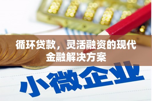 大名循环贷款，灵活融资的现代金融解决方案