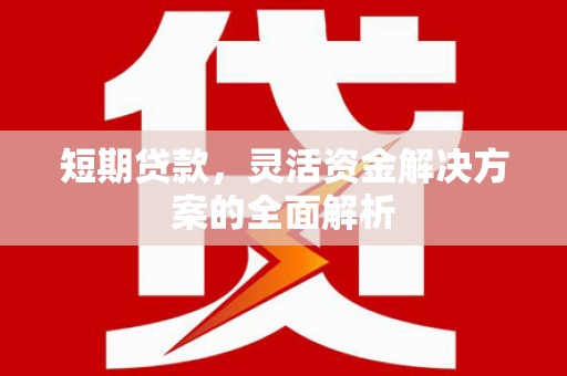 大名短期贷款，灵活资金解决方案的全面解析