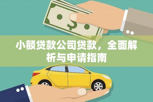 大名小额贷款公司贷款，全面解析与申请指南