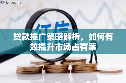 大名贷款推广策略解析，如何有效提升市场占有率